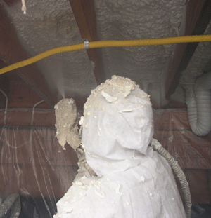 Athens GA crawl space insulation